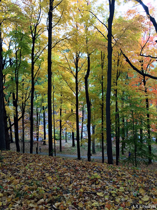 Storm King State Park
