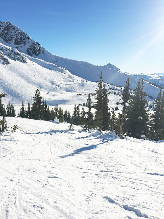 Whistler Blackcomb