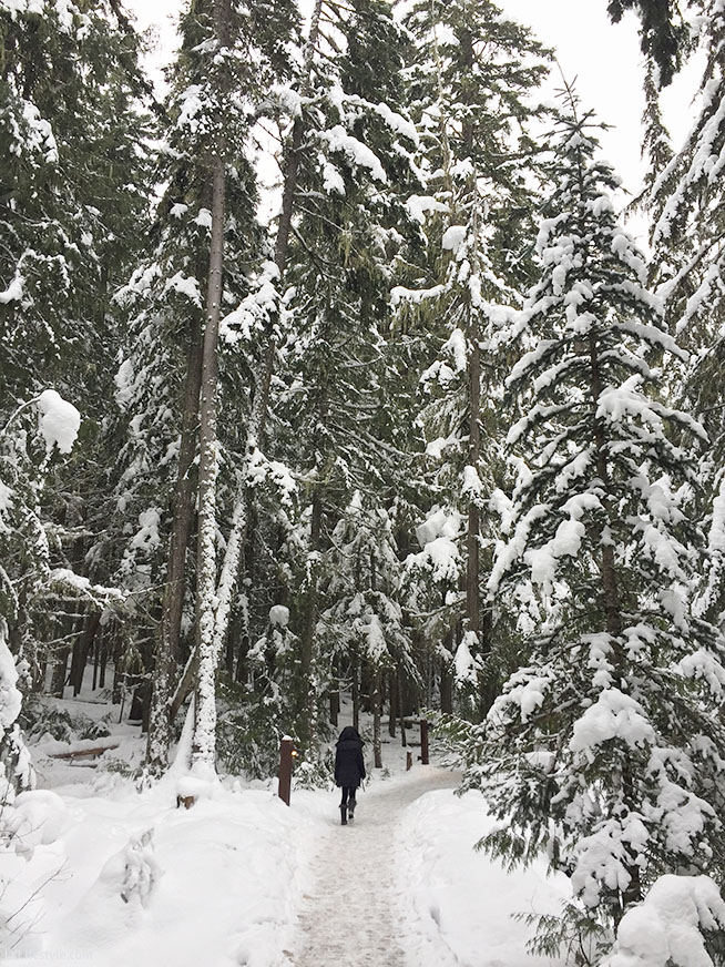 Walkway to Scandinave Spa