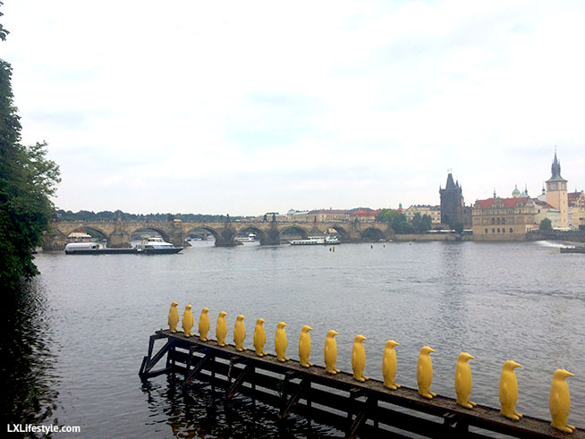 Charles Bridge in the background